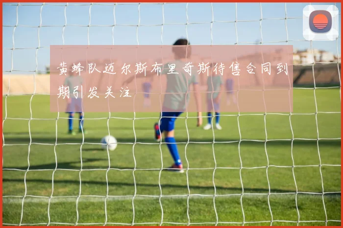 黄蜂队迈尔斯布里奇斯待售合同到期引发关注