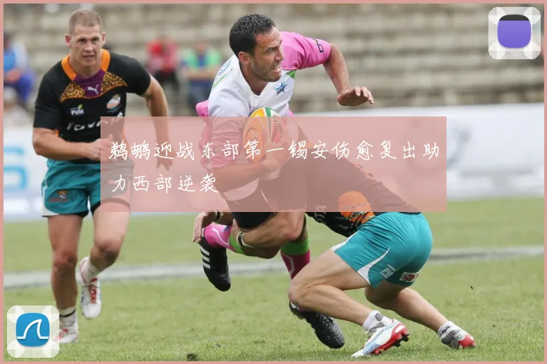 鹈鹕迎战东部第一锡安伤愈复出助力西部逆袭