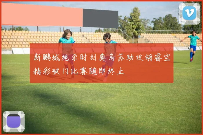 新鹏城绝杀时刻奥乌苏助攻胡睿宝精彩破门比赛随即终止